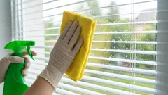 Čím natrieť sklá, aby sa nemuseli umývať po každom daždi: metóda s prostriedkami, ktoré máte po ruke