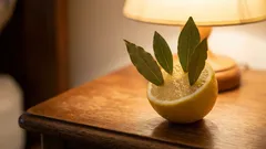  Daj si do izby citrón s bobkovými listami. Na druhý deň ráno si za to budeš vďačný.